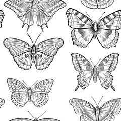 Fototapeta na wymiar Hand drawn vector seamless pattern with black outline engraving ornament with insects. Butterflies on white background.