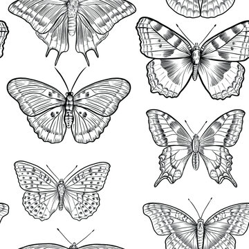 Hand drawn vector seamless pattern with black outline engraving ornament with insects. Butterflies on white background.