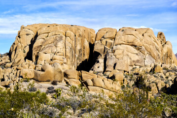 Joshua Tree National Park Rocky Monolith © Brunnell