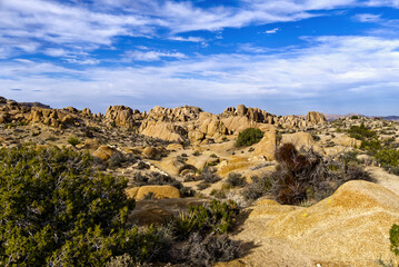 Joshua Tree National Park Skull Rock Trail Terrain