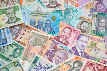 Variety of the African banknotes