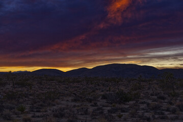 Joshua Tree National Park Sunset