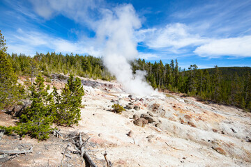 Norris geyser basin