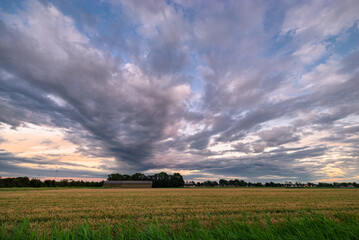 Beautiful evening sky over a wheat field and farm in the western part of The Netherlands