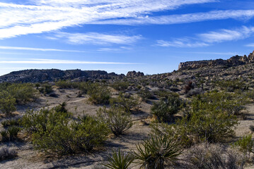 Joshua Tree National Park Terrain