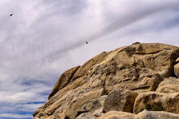 Joshua Tree National Park Birds over Monolith