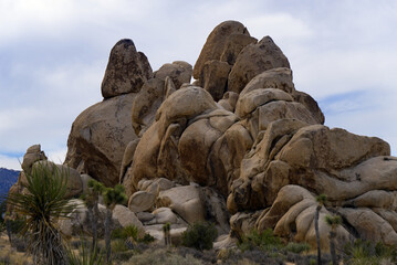 Joshua Tree National Park Hall of Horrors Rock Formation © Brunnell