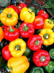 Top view of green, red, yellow bell peppers as background for sale in the market,Selective Focus, Selective Focus no Subject, Background Blur 
