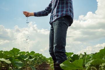 a young farmer in a plaid shirt and boots sows sunflowers in a field