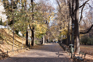 Alley on the boulevard in Krakow. Morning, early November