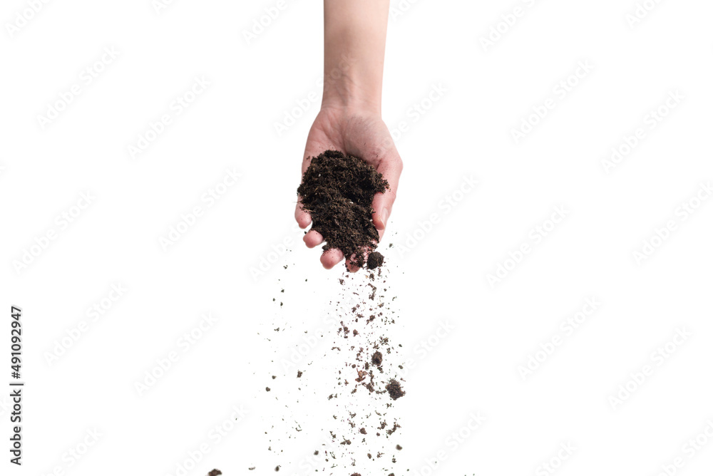 Wall mural Brown soil in woman hands isolated on white.