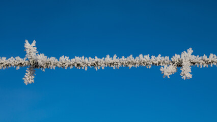 Eiskristalle auf einem Stacheldraht