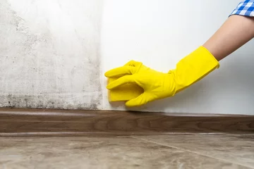 Fotobehang Close-up of a woman's hand in yellow rubber gloves cleans the wall from black mold with a special antifungal agent and sponge.Result is before and after, one part of the wall is clean, other is dirty © yaroslav1986