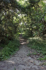 Photos taken at the Tiete Ecological Park in São Paulo, Arevores and Lagos