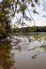 Photos taken at the Tiete Ecological Park in São Paulo, Arevores and Lagos