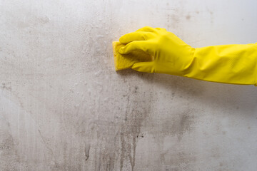 Close-up of a woman's hand washing the wall from mold with a sponge and cleanser, copy space - obrazy, fototapety, plakaty