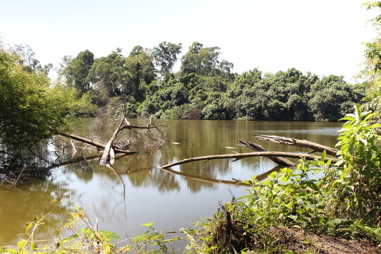 Photos taken at the Tiete Ecological Park in São Paulo, Arevores and Lagos