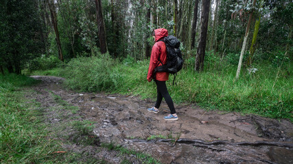 Hispanic woman with black backpack and red waterproof jacket walking on a muddy trail through a forest during the day