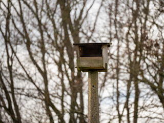 very large nesting box fitted atop an old concrete lamp post suitable for owls or Kestrels (Falco tinnunculus)