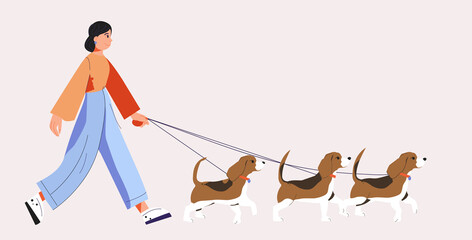 The girl walk with a dogs. Beagles. The owner walks three dogs. Vector illustration