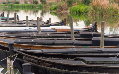 embarcadero y muelles del puerto de Catarroja , en la albufera de valencia , con los botes amarrados a las pasarelas de madera .