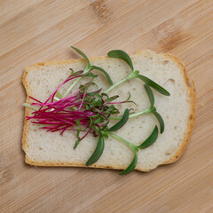 Microgreens on bread Growing microgreens at home. Green sprouts for salad close-up. Sprouted beets and sunflower seeds.