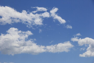 Naklejka na ściany i meble 爽やかな青空と、ふわふわと漂う白い雲