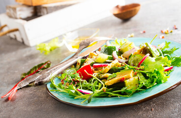 Healthy vegan salad, avocado, cucumber, tomato, radish, nuts and seeds. Girl in denim shirt holding a bowl of vegan salad