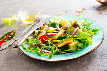 Healthy vegan salad, avocado, cucumber, tomato, radish, nuts and seeds. Girl in denim shirt holding a bowl of vegan salad