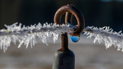 Weidezaun mit Eiskristallen