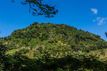 Obraz premium tree in the mountains