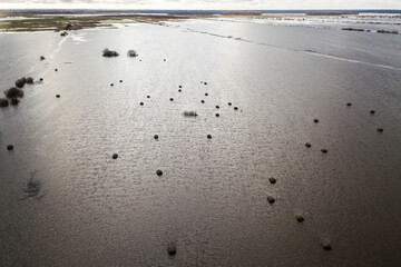 Hay rolls are located in flooded meadow water in spring. Floods, flood. Aerial view.