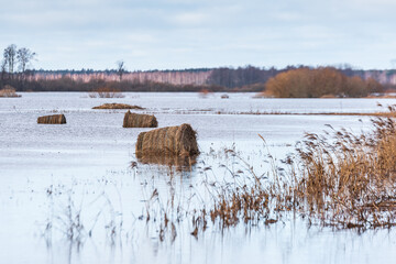 Hay rolls are located in flooded meadow water in spring. Floods, flood.