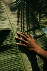 Closeup portrait of a black nature activist touching a plant  - obrazy, fototapety, plakaty
