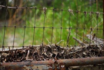 A barbed wire fence