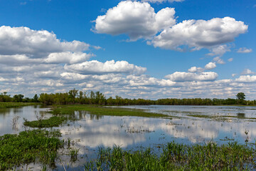 Landscape of a wetland conservation area with lakes reflecting cloudy skies and trees
