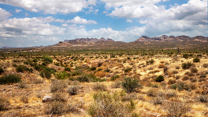 Fototapeta na wymiar Desert landscape near Phoenix, Arizona with mountains in the distance