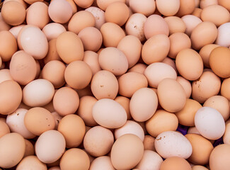 Background of fresh eggs for sale at a market.