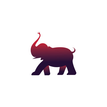 elephant road logo illustration design vector