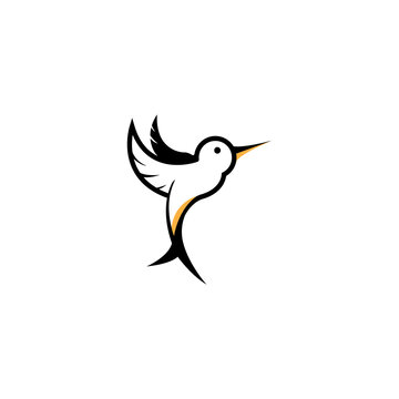 bird logo illustration design vector