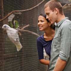 Natural beauty at its finest. Shot of a young couple admiring a bird display.