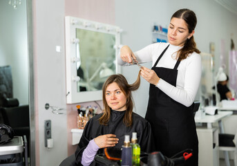 Focused female hairdresser cuts the hair of a young woman client with scissors, sitting in a chair in a modern barbershop