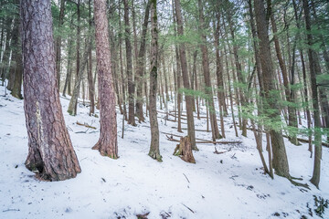 Beautiful Watkins Glen State Park Winter Views