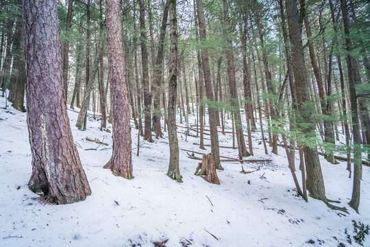 Beautiful Watkins Glen State Park Winter Views