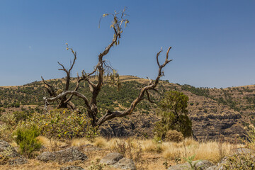 Landscape of Simien mountains, Ethiopia