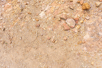 sand texture with rocks