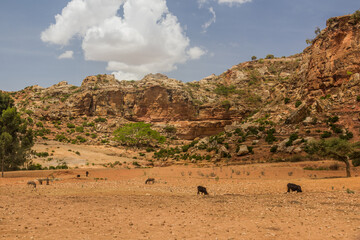 Landscape of Tigray region, Ethiopia