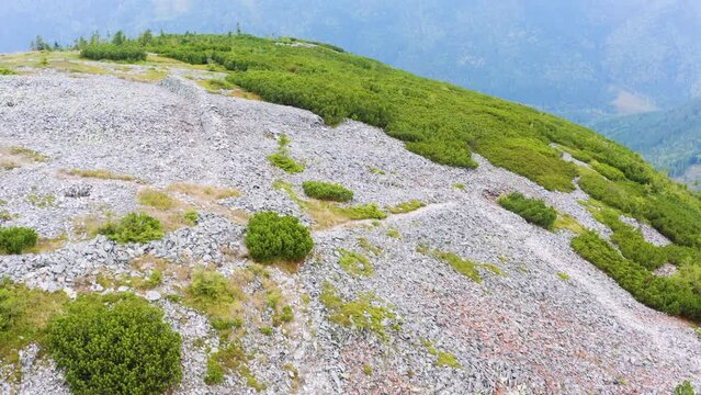 In the Ukrainian Carpathians the wildest region is the Gorgan, the highest peak of Syvula. The old Polish, Slovakian Czech and Russian fortifications from the First World War, drone is filming a video