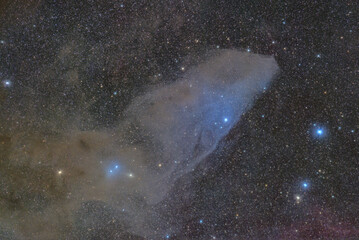 Blue Horse Nebula