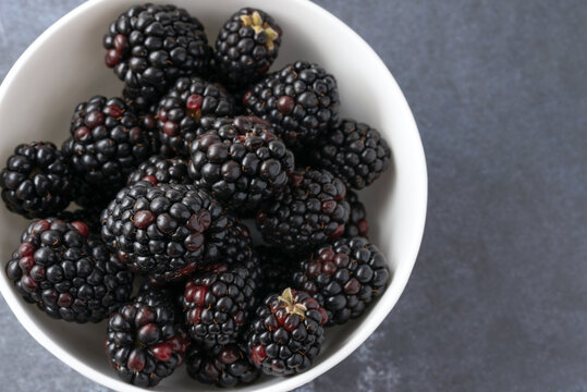 Fresh Blackberries in a Bowl